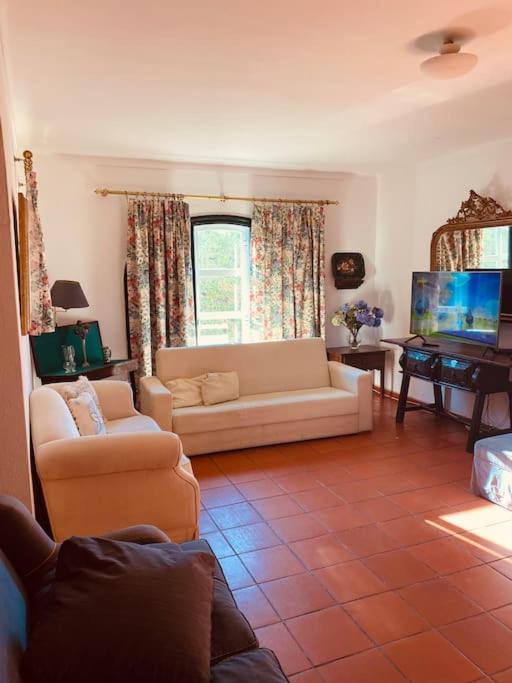 Photo of Livingroom in Monforte