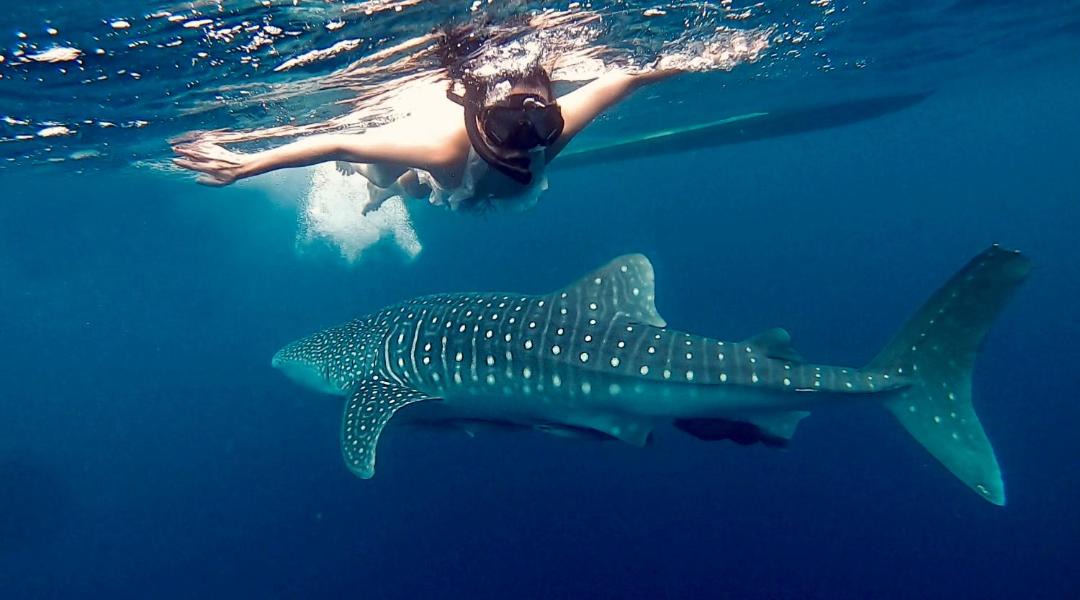 Photo of Others in Maratua Island