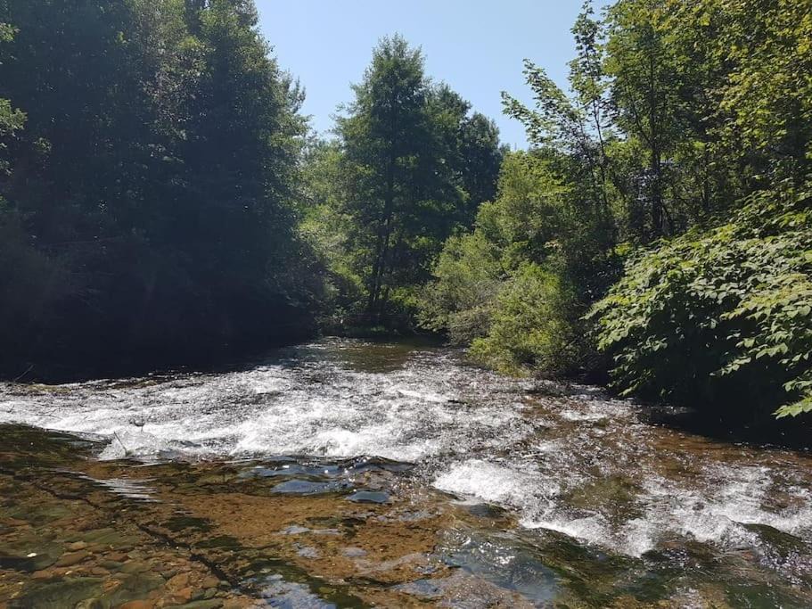Photo of Outdoor in Belonchamp