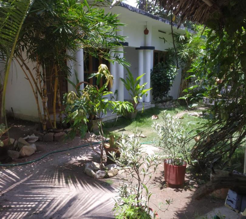 Photo of Buildings in Varkala