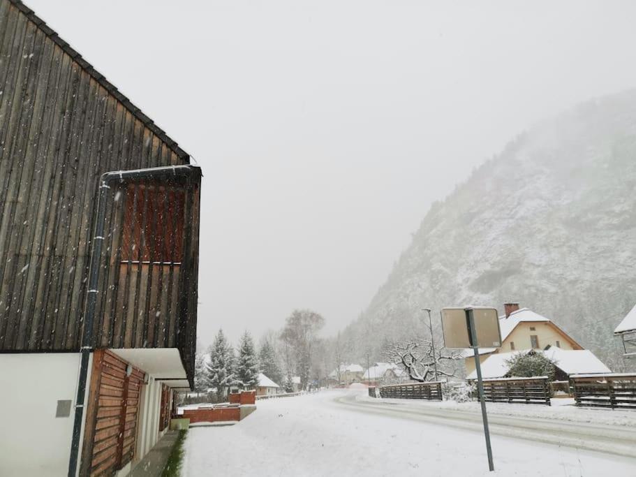 Photo of Others in Mojstrana