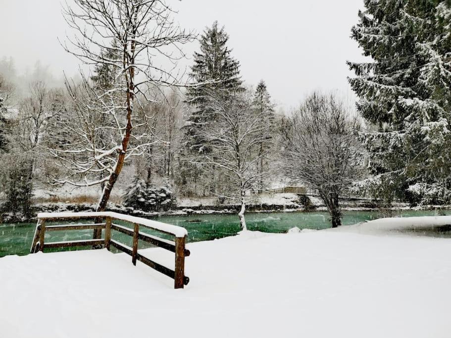 Photo of Others in Mojstrana