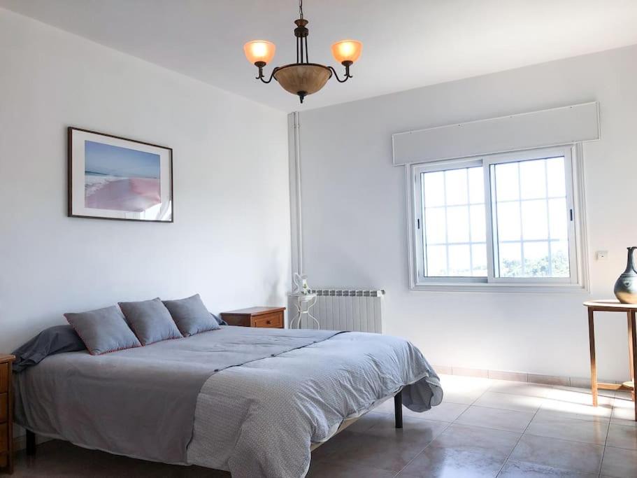 Photo of Bedroom in Amarante