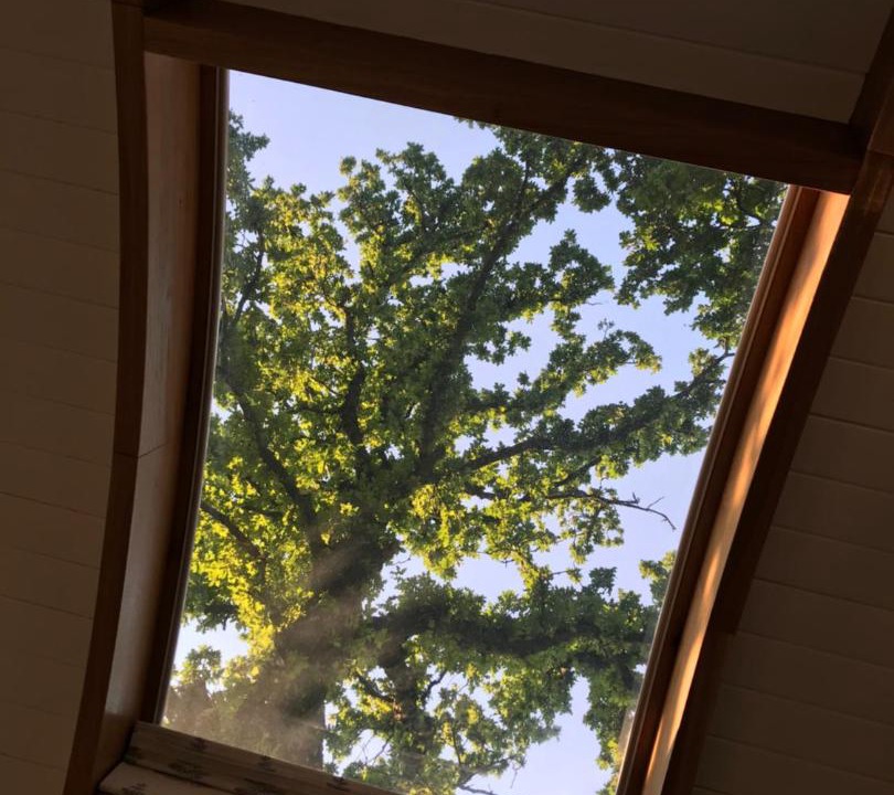 Photo of Patio Balcony in Norton St. Philip