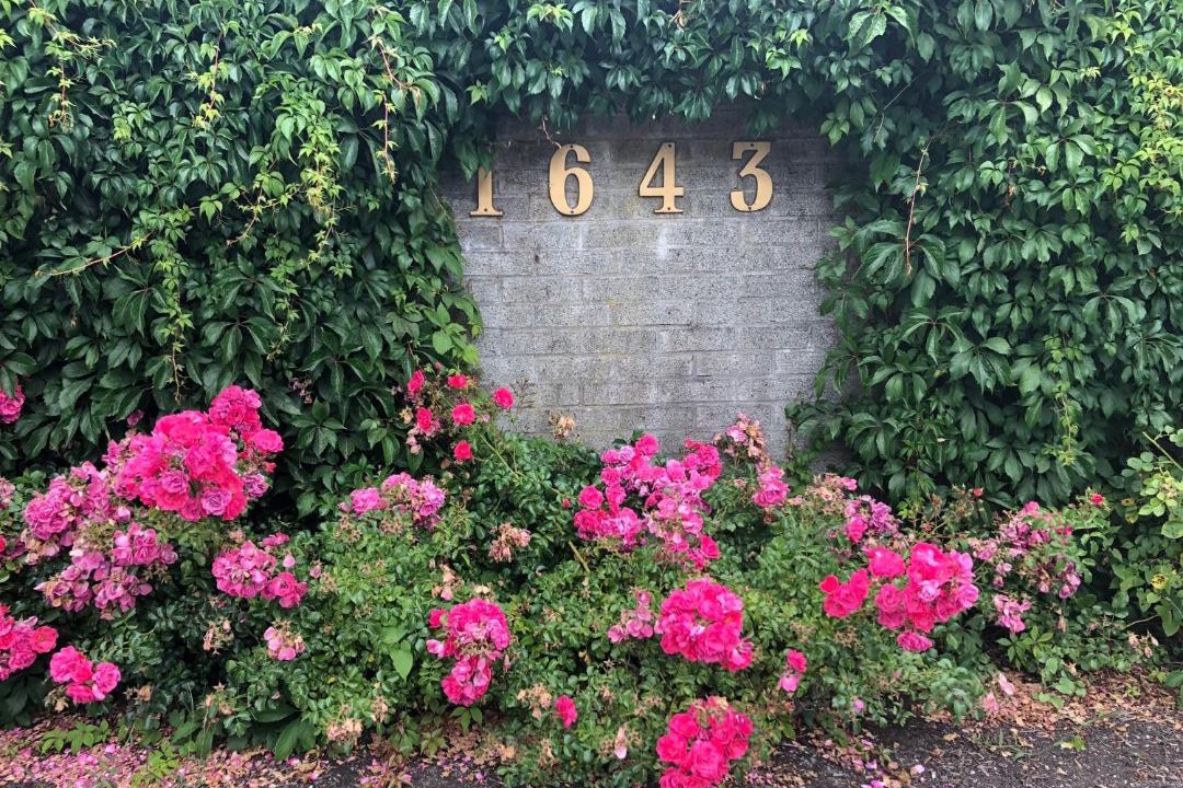 Photo of Others in Shaughnessy