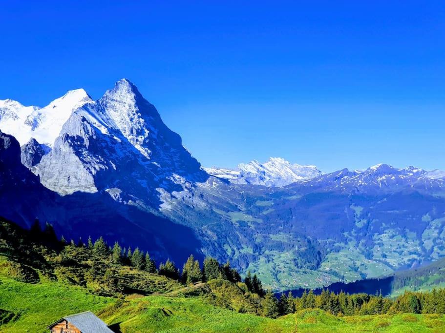 Photo of Outdoor in Grindelwald