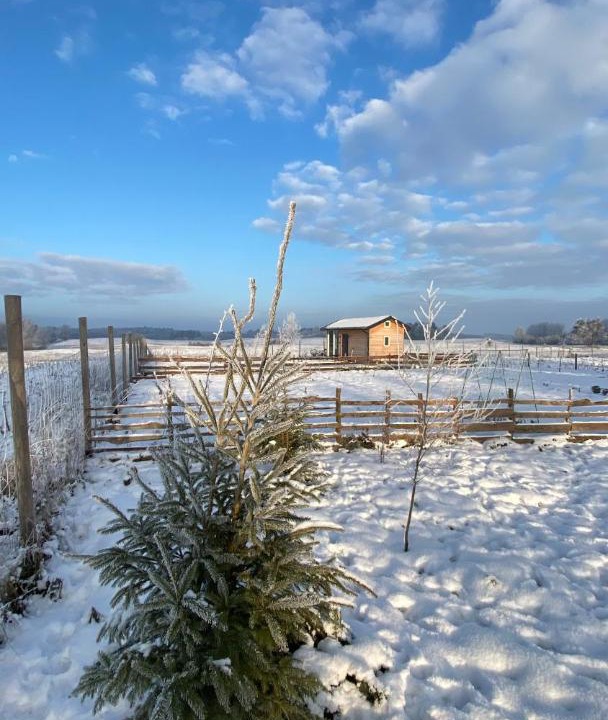 Photo of Outdoor in Ostrow Wielki