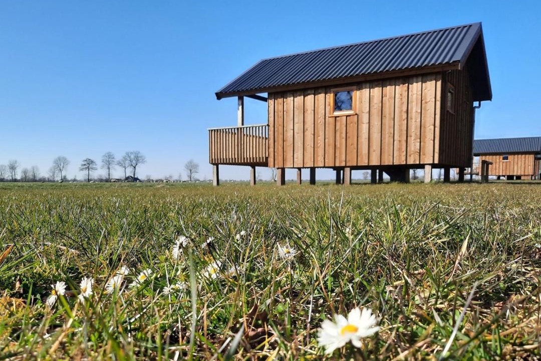Photo of Buildings in Ruinerwold