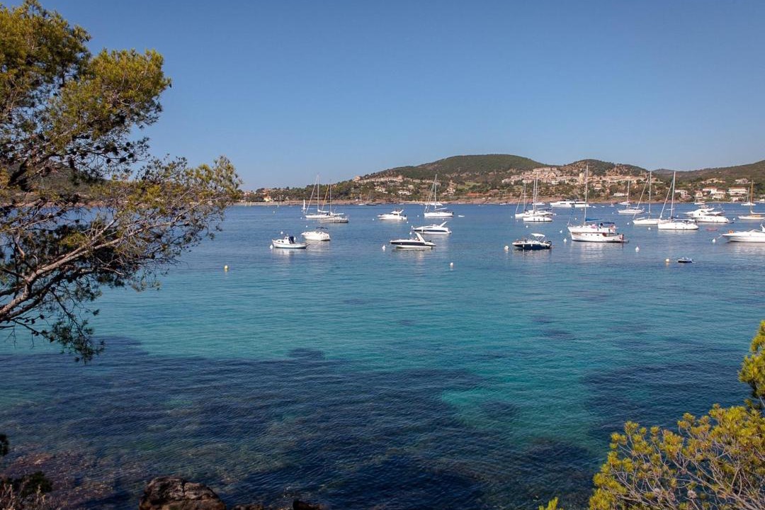 Photo of Others in Saint-Raphael