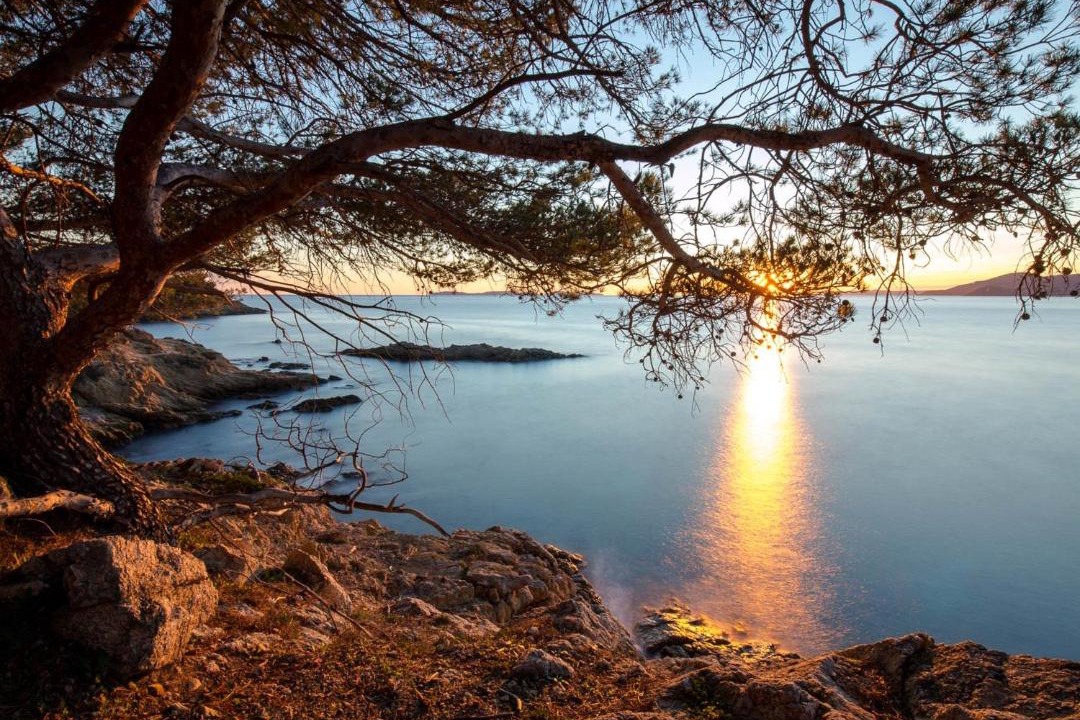 Photo of Others in Saint-Raphael