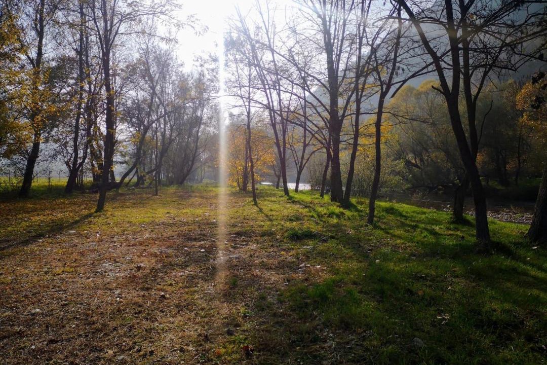 Photo of Outdoor in Bulz