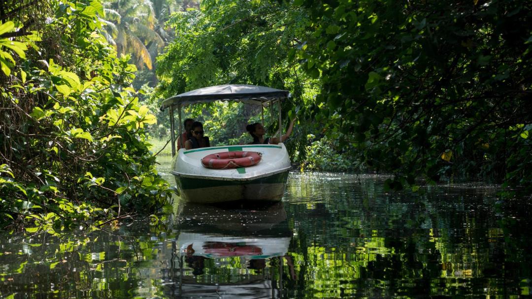 Photo of Others in Poovar