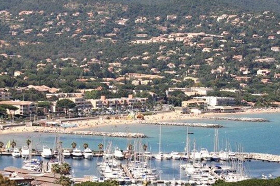 Photo of Others in Cavaliere