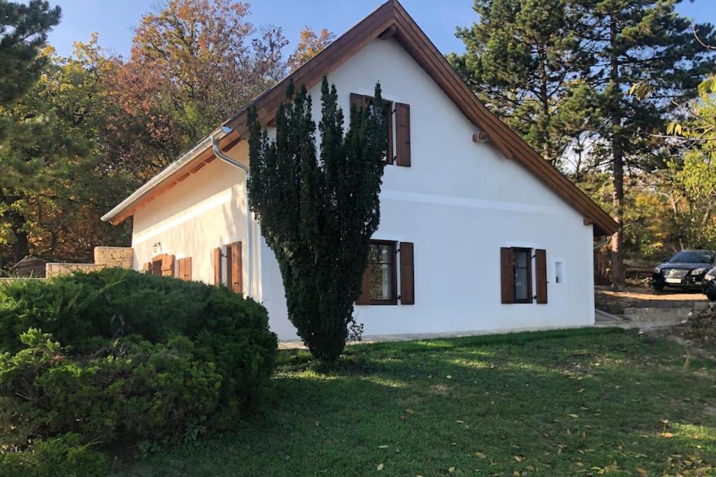 Photo of Buildings in Vaszoly
