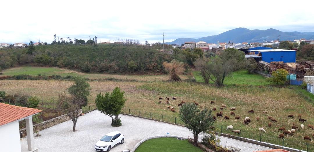 Photo of Others in Balocas