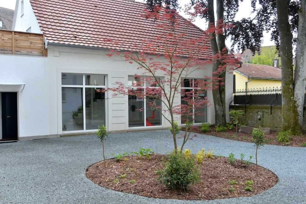 Photo of Buildings in Masevaux