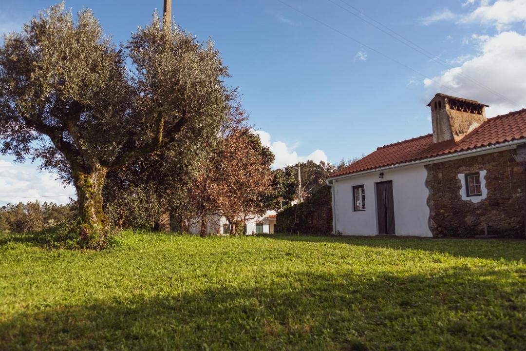 Photo of Buildings in Tomar