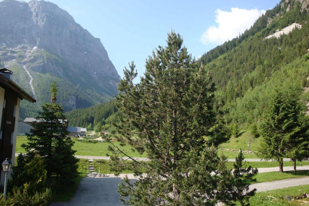 Photo of Others in Pralognan-la-Vanoise