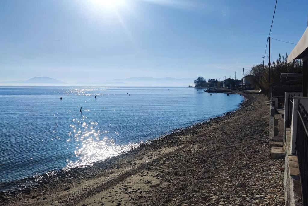 Photo of Outdoor in Volos