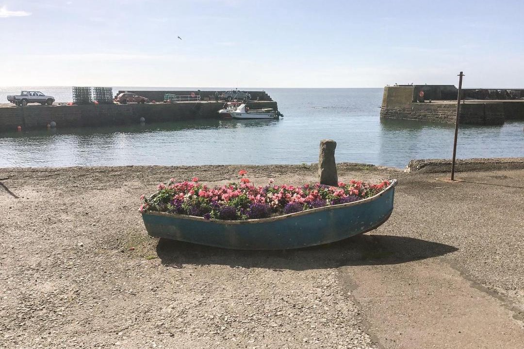 Photo of Others in Johnshaven