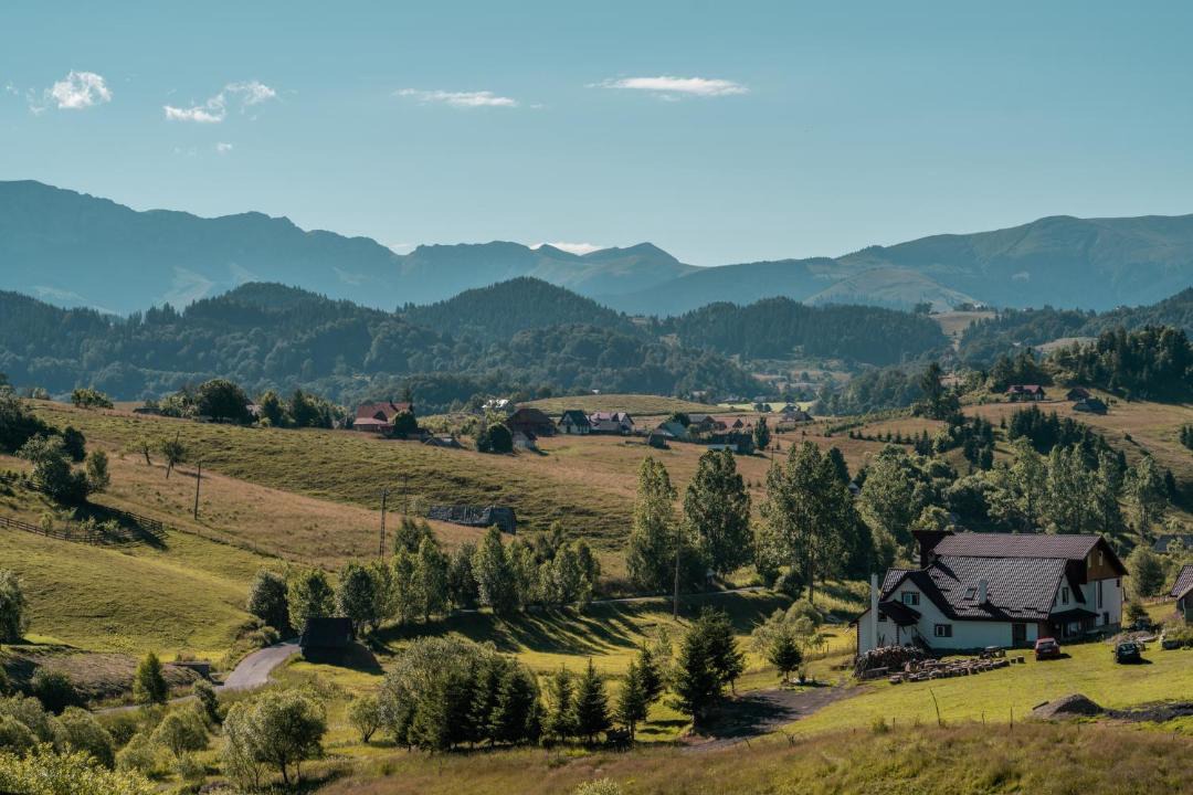Photo of Others in Sirnea