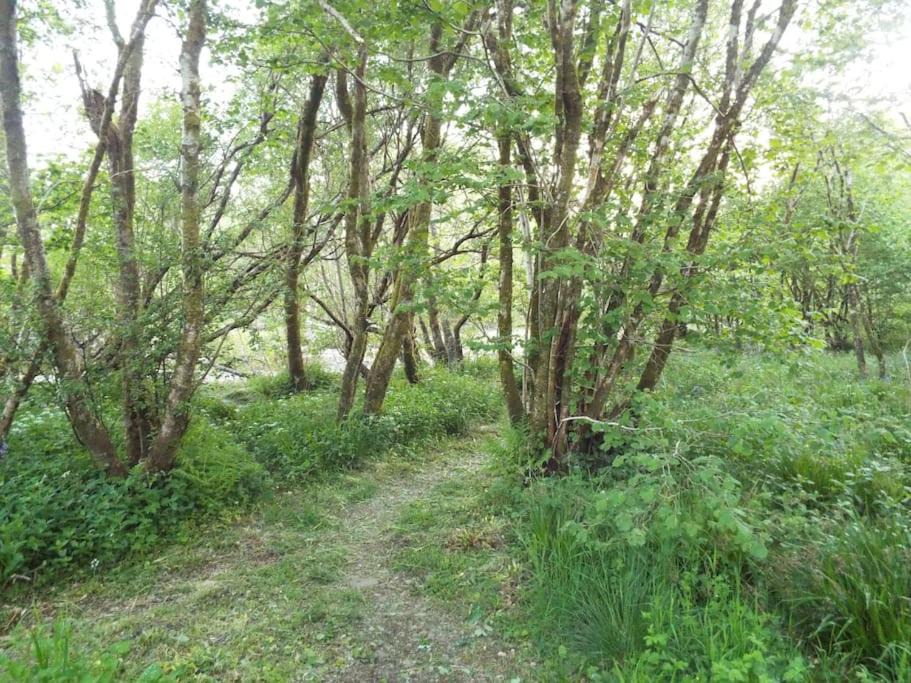 Photo of Others in Kilmichael Glassary