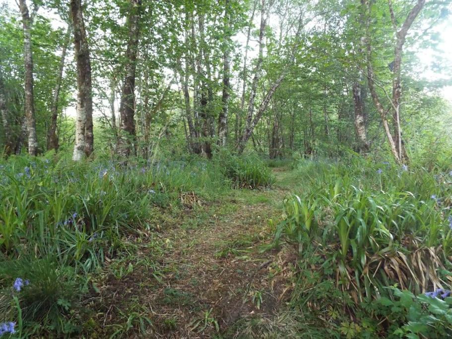 Photo of Outdoor in Kilmichael Glassary