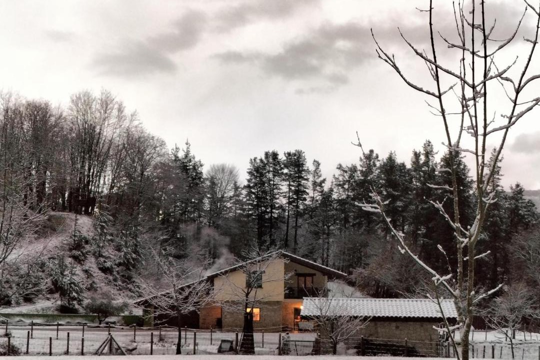 Photo of Buildings in Dima