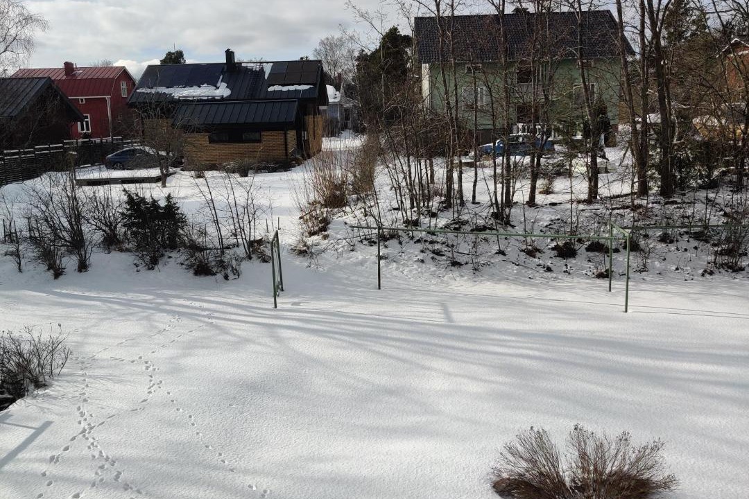 Photo of Others in Rauma
