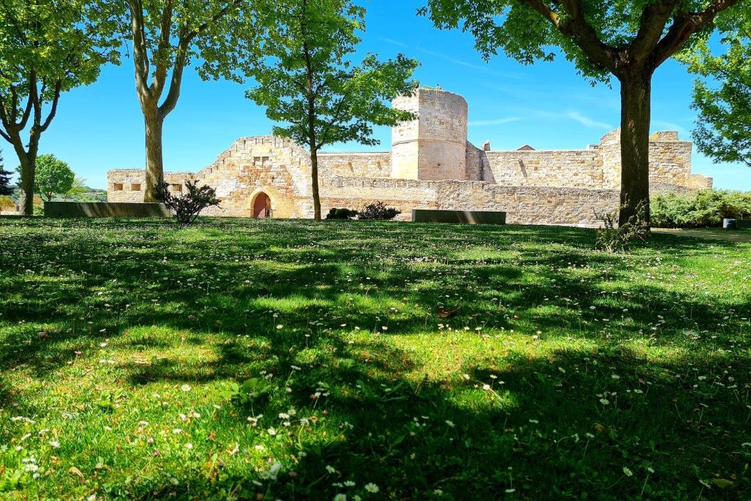 Photo of Others in Zamora