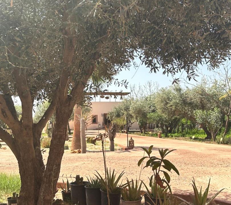 Photo of Others in Al Ouidane