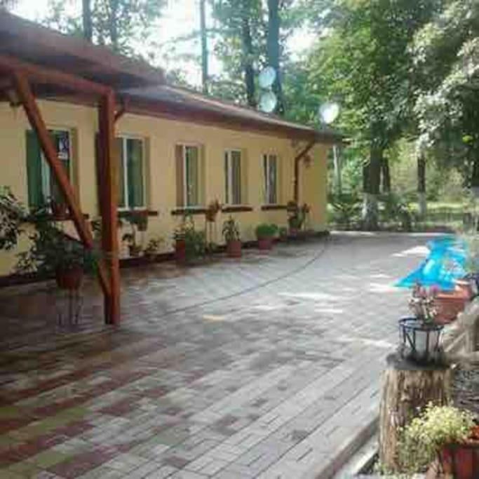 Photo of Others in Banesti