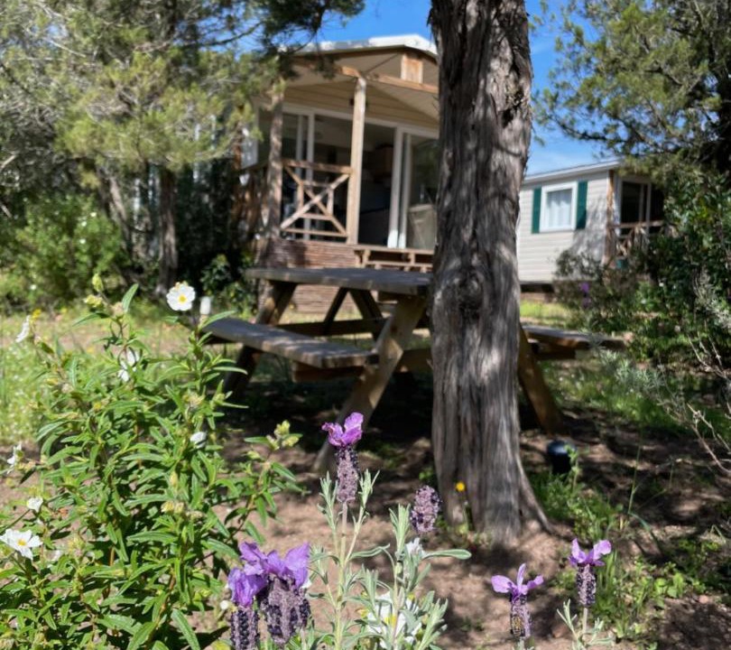 Photo of Others in Hameau de Palombaggia