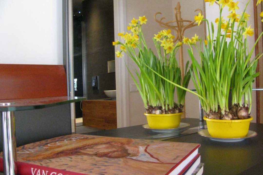 Photo of Livingroom in Valthermond