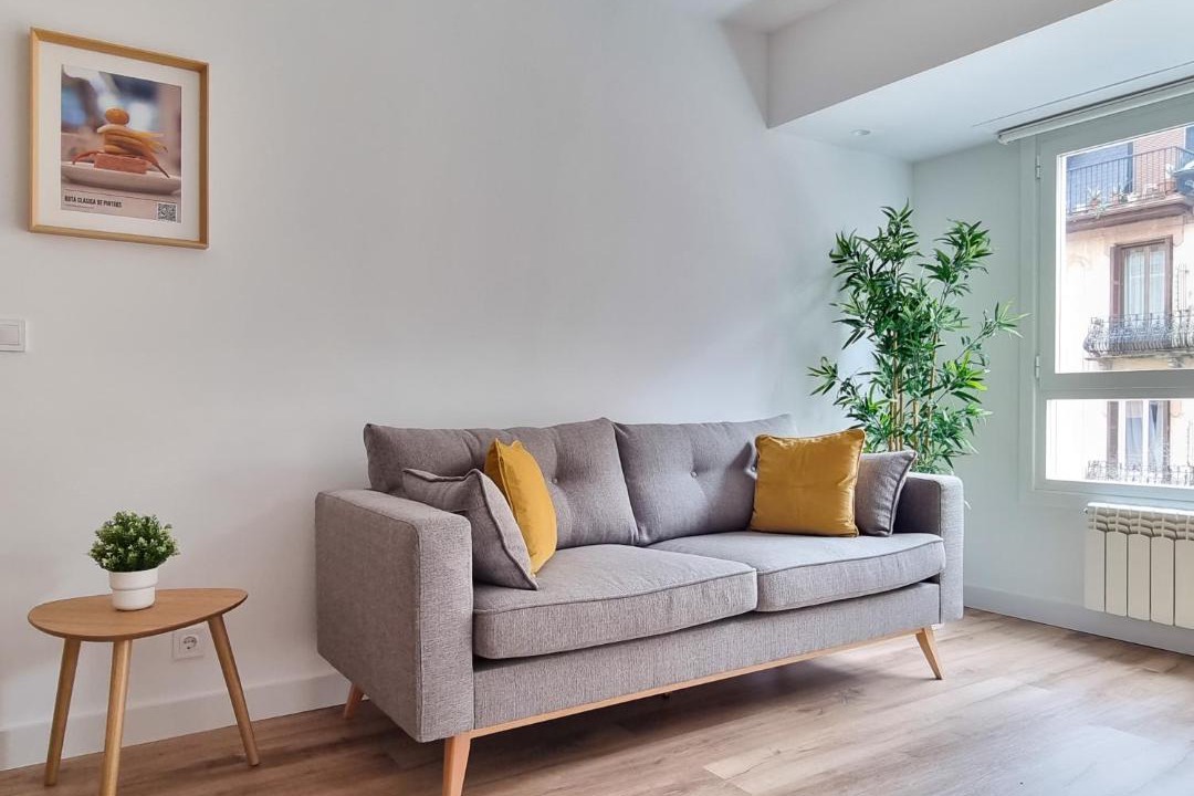Photo of Livingroom in Egia