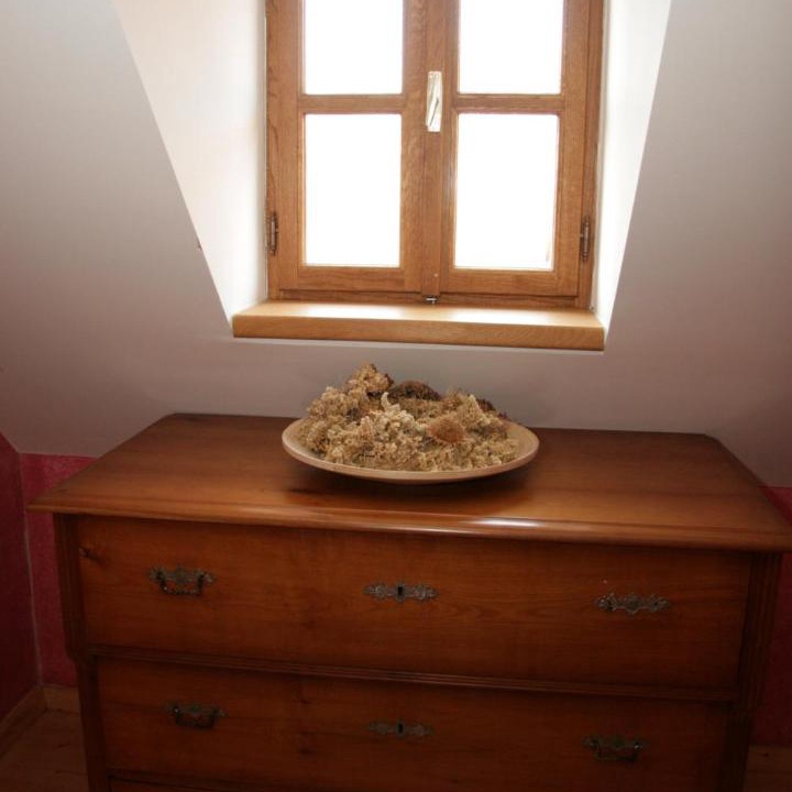 Photo of Others in Kostanjevica na Krki