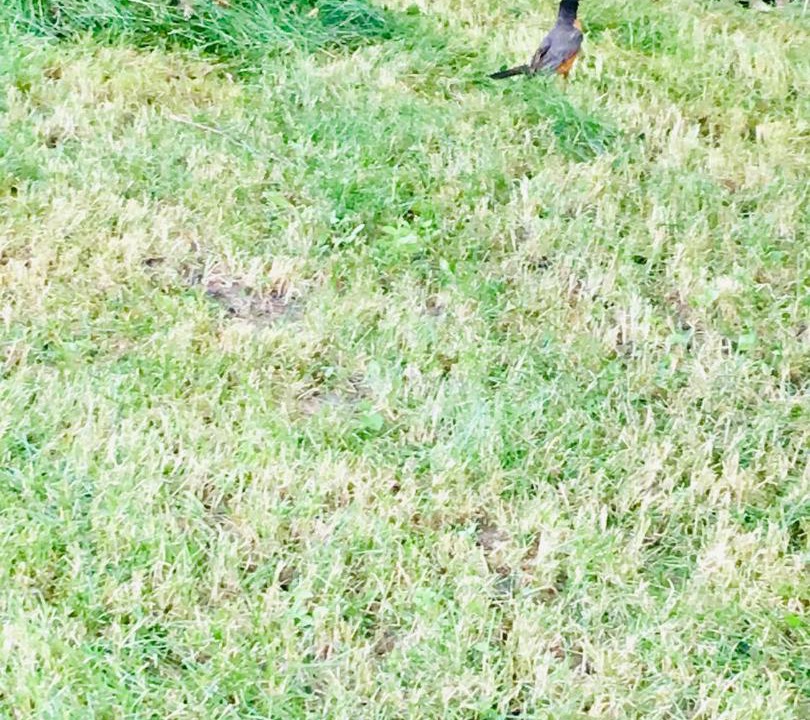 Photo of Outdoor in Highland Creek