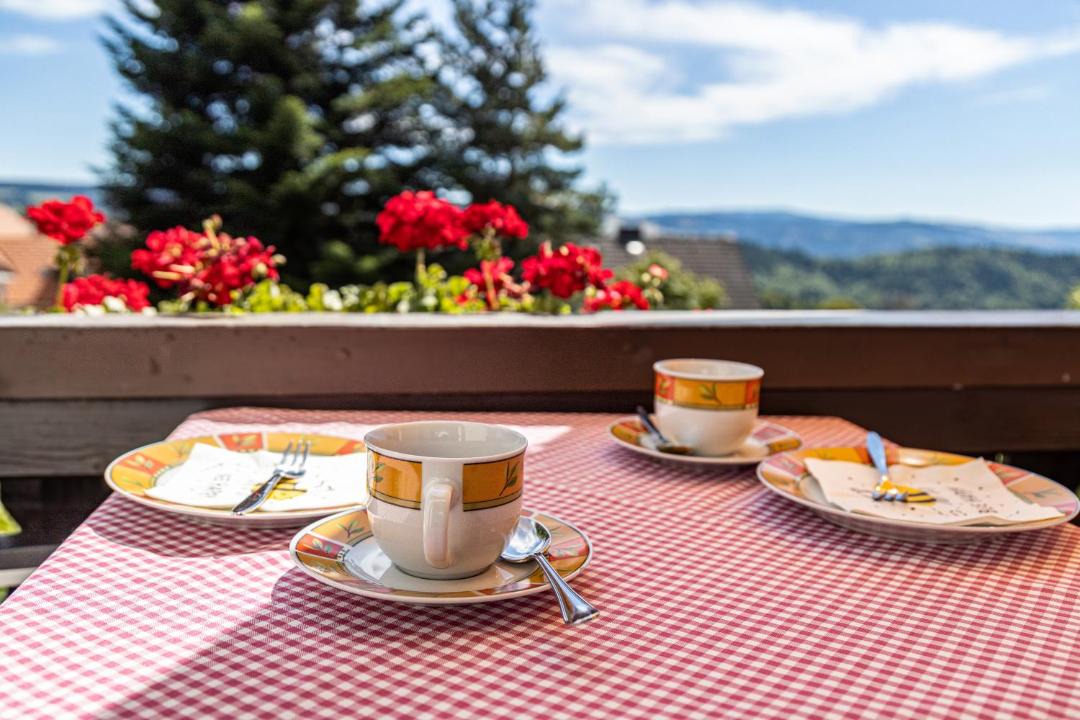 Photo of Patio Balcony in Sankt Maergen