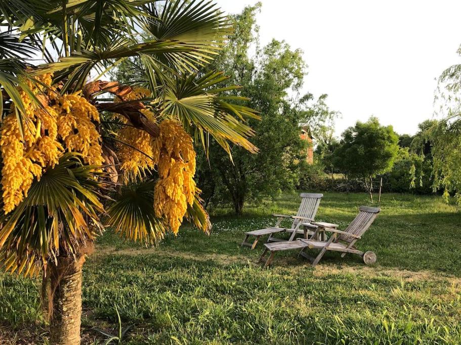 Photo of Others in Queyrac