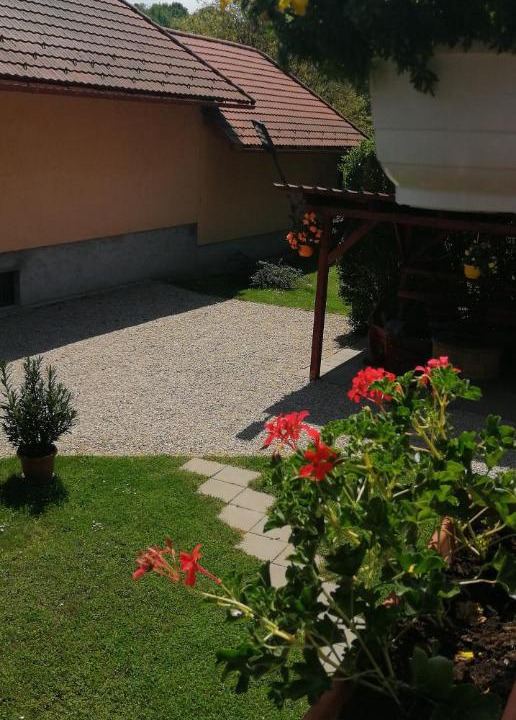 Photo of Others in Bakonybel