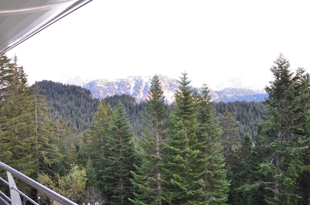 Photo of Others in Chamrousse