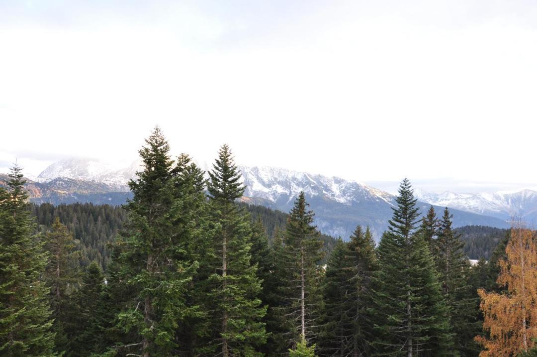 Photo of Outdoor in Chamrousse