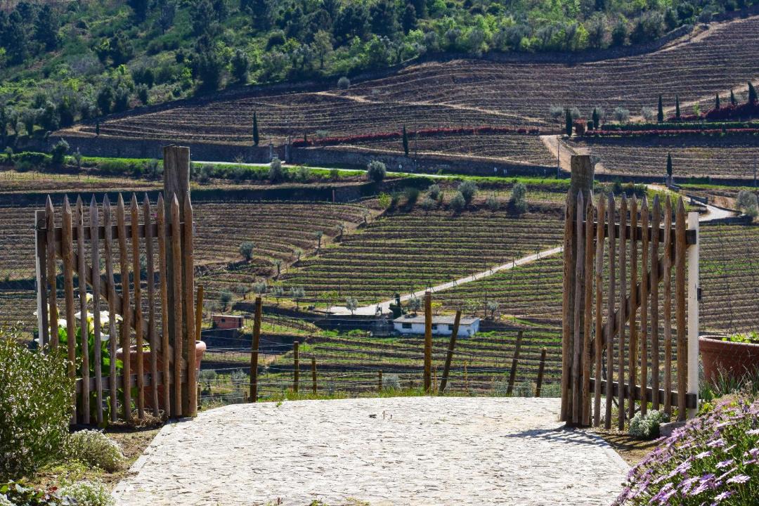 Photo of Others in Lamego