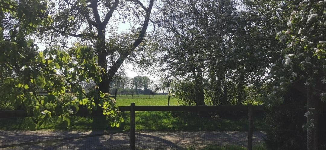 Photo of Outdoor in Esson