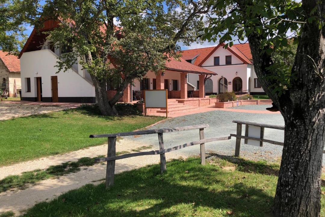 Photo of Others in Viszak