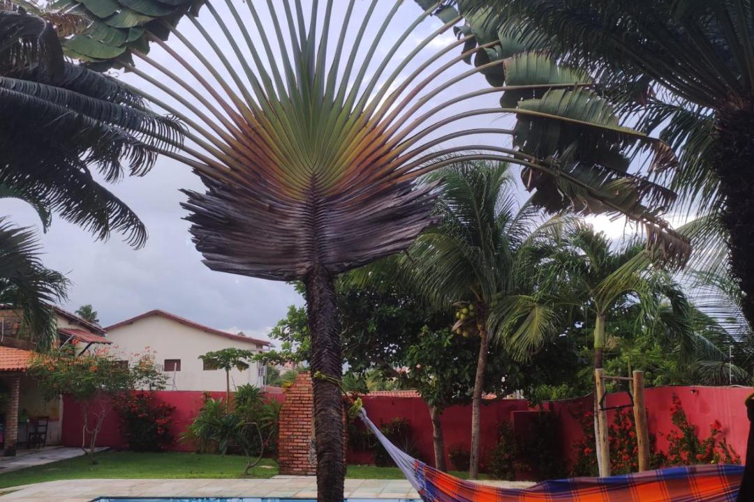 Photo of Outdoor in Colonia de Pescadores