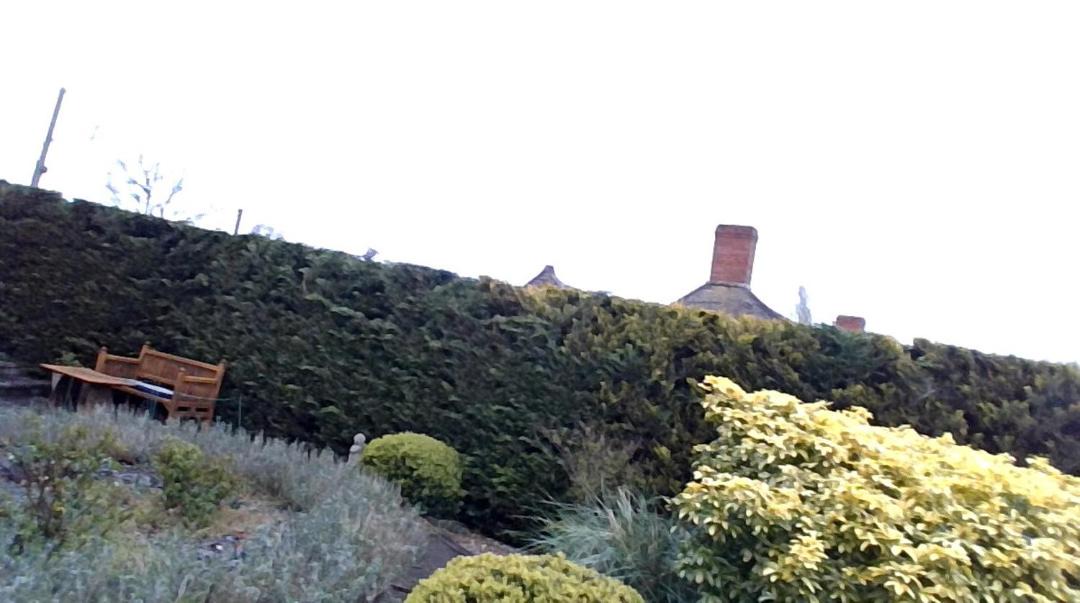 Photo of Outdoor in South Petherton