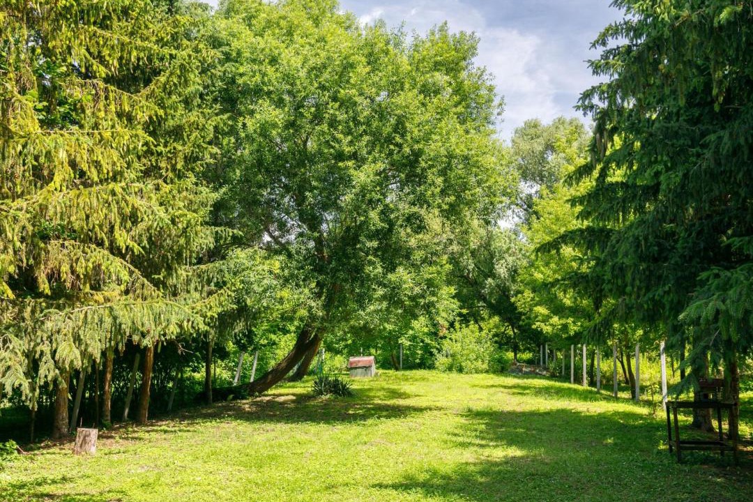 Photo of Outdoor in Balatonlelle