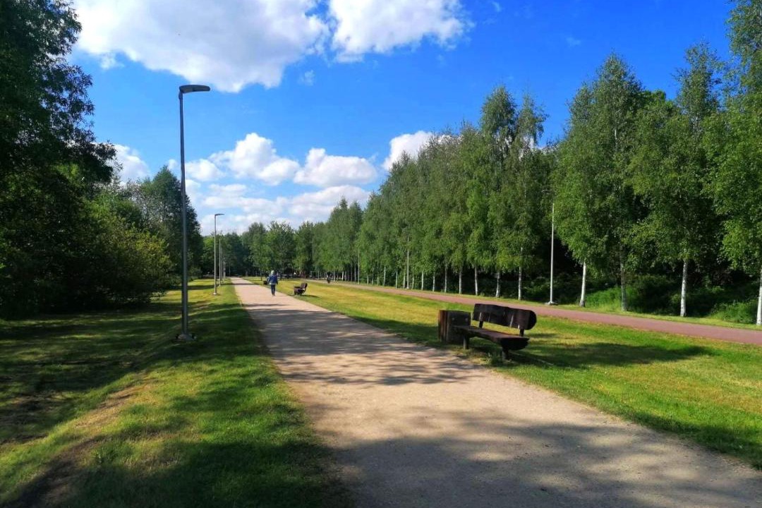 Photo of Outdoor in Jelitkowo