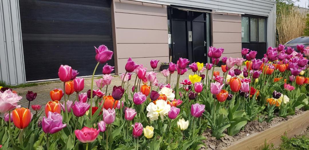 Photo of Outdoor in Lelystad